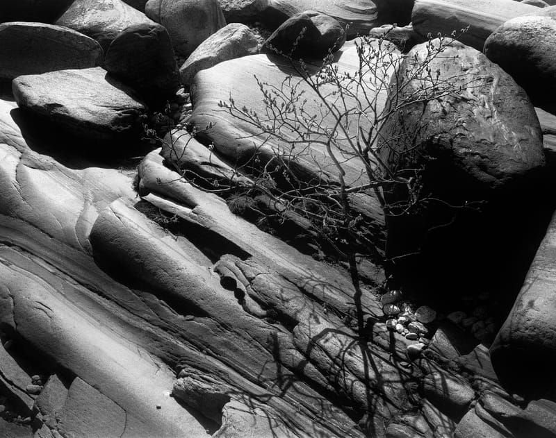 fineart photography - 009